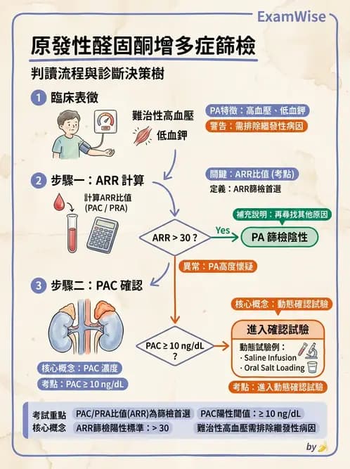 內專 - 腎上腺皮質疾病 - AI 圖文解析預覽