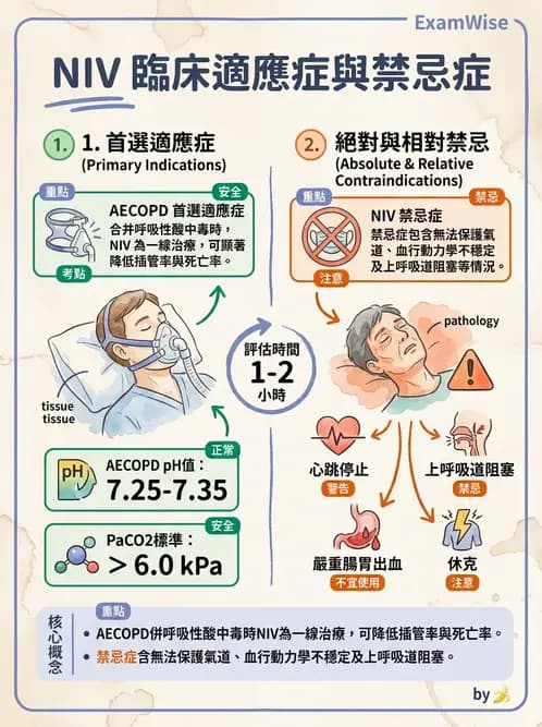 內專 - 呼吸衰竭、非侵襲性呼吸器與睡眠呼吸中止 - AI 圖文解析預覽