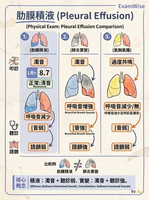 內專 - 肋膜疾病與氣胸 - AI 圖文解析預覽