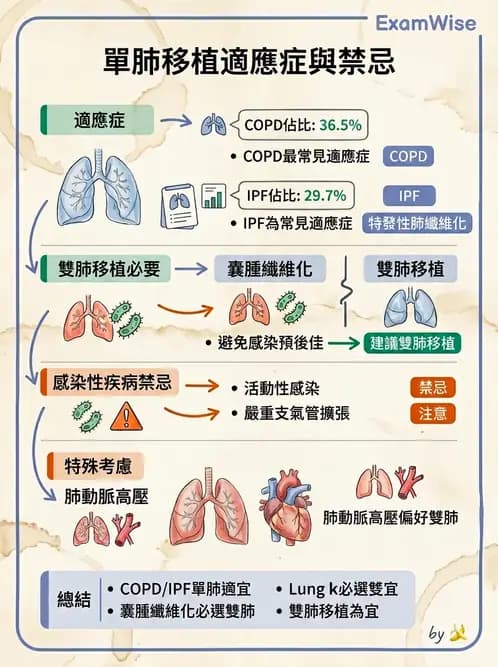 內專 - 間質性肺病與肺纖維化 - AI 圖文解析預覽