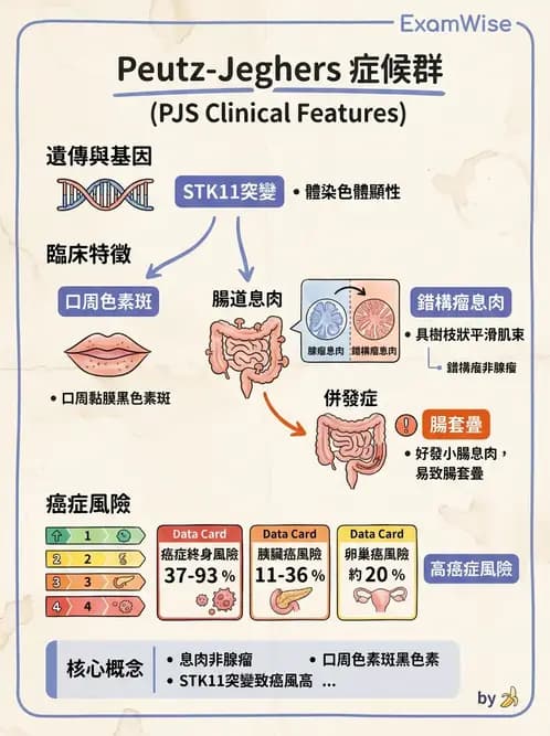 內專 - 大腸直腸癌與息肉 - AI 圖文解析預覽
