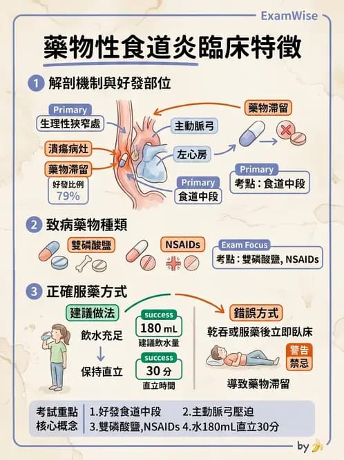 內專 - GERD、Barrett's食道與食道炎 - AI 圖文解析預覽