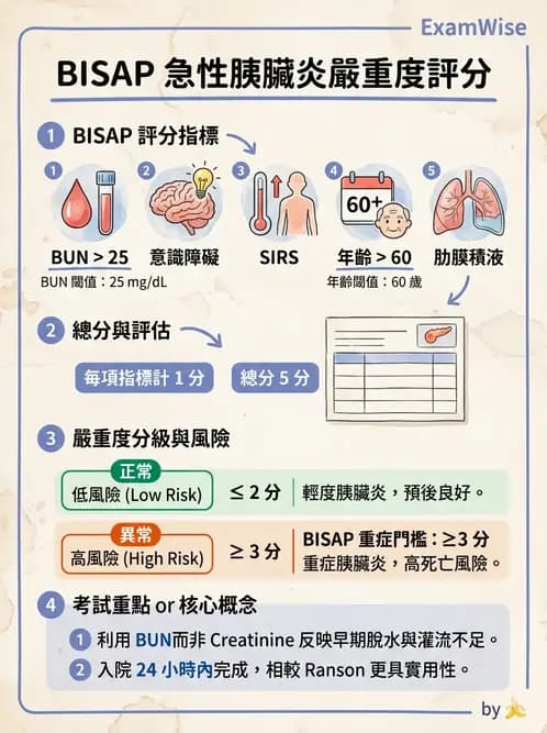 內專 - 胰臟疾病 - AI 圖文解析預覽