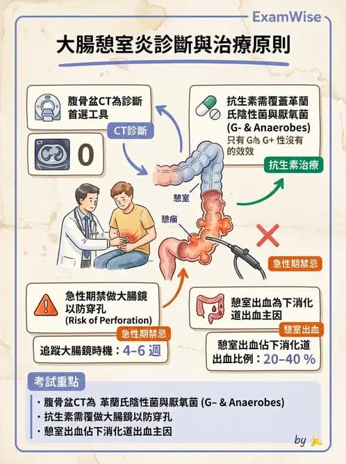 內專 - 憩室病、缺血性腸病與消化道出血 - AI 圖文解析預覽