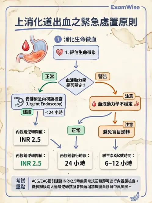 內專 - 憩室病、缺血性腸病與消化道出血 - AI 圖文解析預覽
