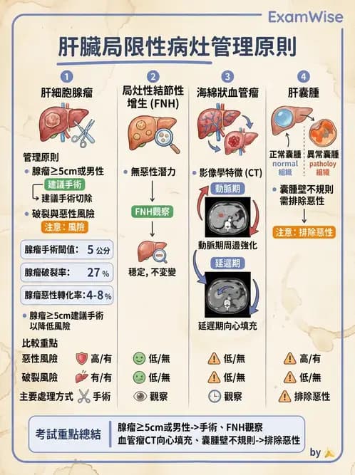 內專 - 急性肝炎、脂肪肝與其他肝病 - AI 圖文解析預覽