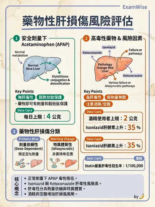 內專 - 急性肝炎、脂肪肝與其他肝病 - AI 圖文解析預覽
