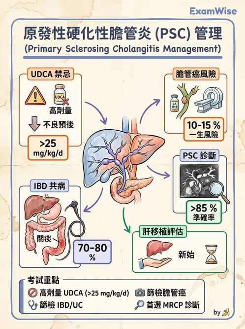 內專 - 膽汁滯留性肝病與黃疸鑑別 - AI 圖文解析預覽