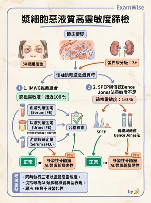 內專 - 淋巴瘤與多發性骨髓瘤 - AI 圖文解析預覽