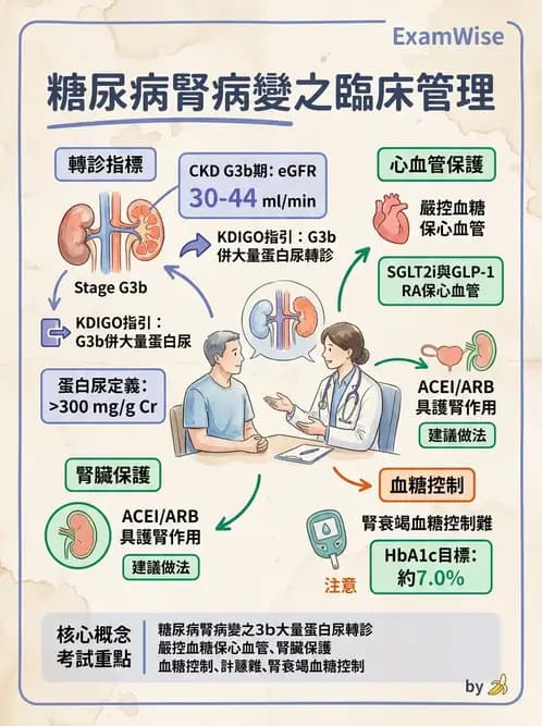 內專 - 慢性腎臟病管理 - AI 圖文解析預覽