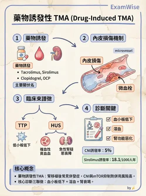 內專 - 腎血管疾病與妊娠腎病 - AI 圖文解析預覽