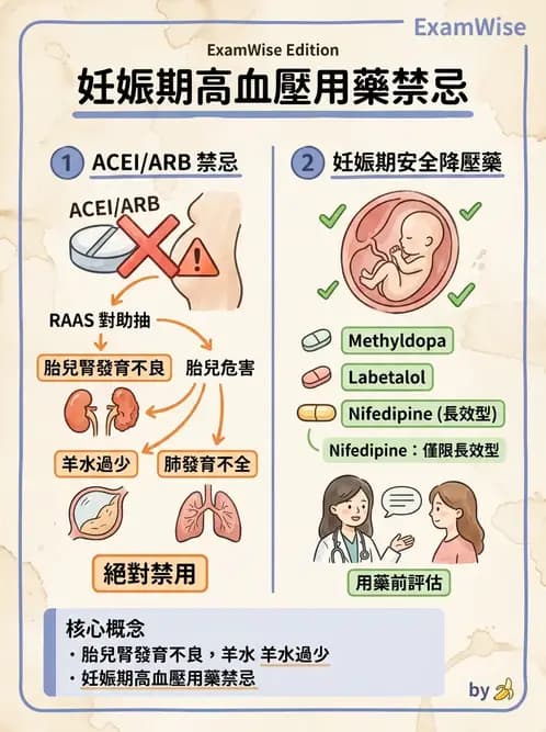內專 - 腎血管疾病與妊娠腎病 - AI 圖文解析預覽