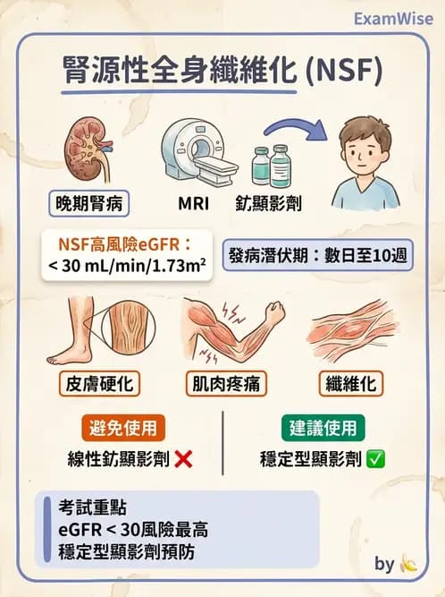 內專 - 腎間質疾病與其他 - AI 圖文解析預覽