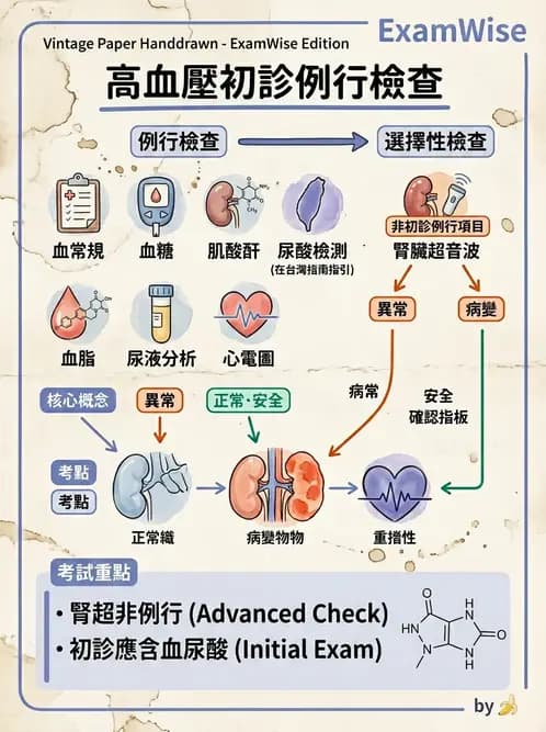 內專 - 高血壓 - AI 圖文解析預覽