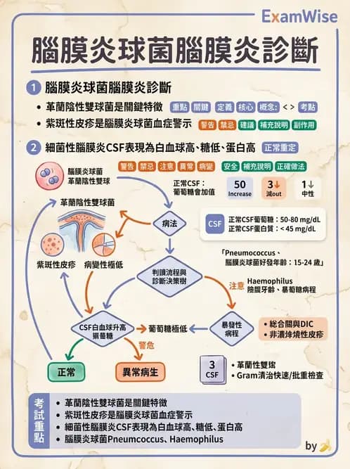 內專 - 呼吸道與中樞神經感染 - AI 圖文解析預覽