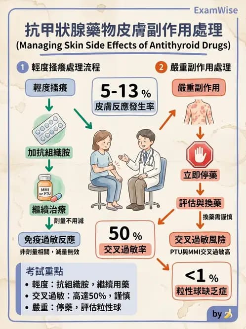 內專 - 甲狀腺疾病 - AI 圖文解析預覽