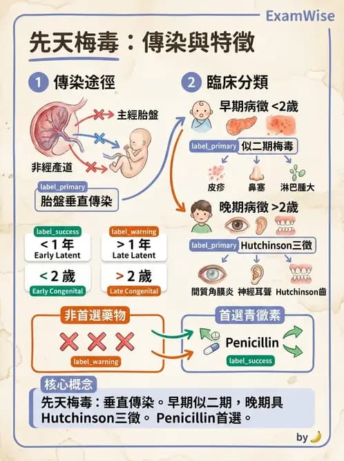 內專 - 蟲媒感染、性傳播感染與寄生蟲 - AI 圖文解析預覽