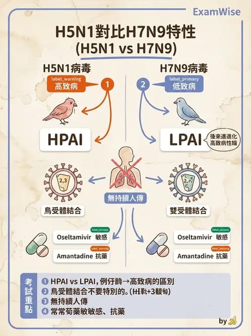 內專 - 病毒感染:COVID-19、流感與新興傳染病 - AI 圖文解析預覽