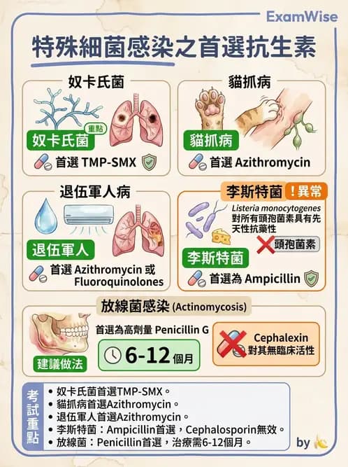 內專 - 感染總論與敗血症 - AI 圖文解析預覽