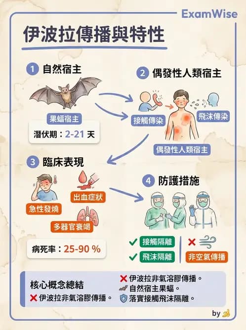 內專 - 病毒感染:COVID-19、流感與新興傳染病 - AI 圖文解析預覽