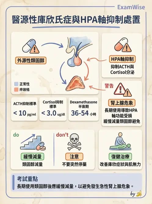 內專 - 腎上腺皮質疾病 - AI 圖文解析預覽