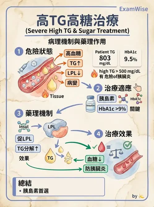 內專 - 糖尿病心血管保護與血脂異常 - AI 圖文解析預覽