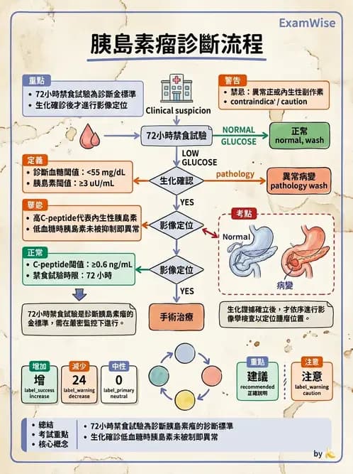 內專 - 低血糖與內源性高胰島素血症 - AI 圖文解析預覽