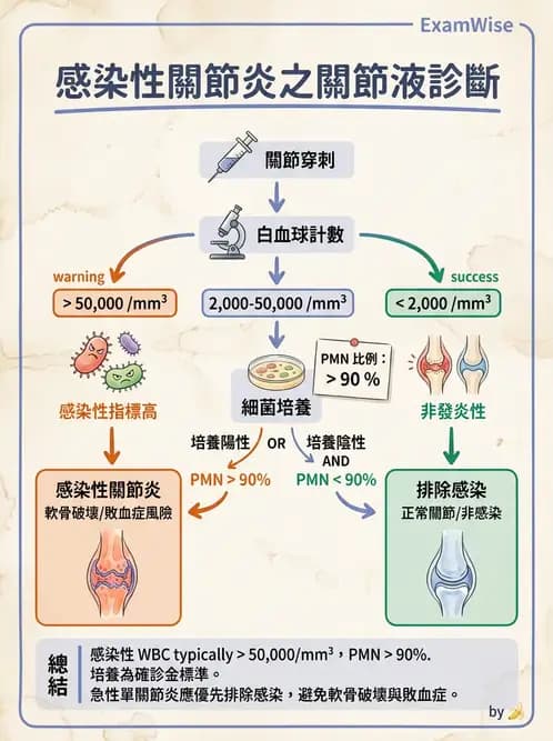 內專 - 痛風、結晶性與退化性關節炎 - AI 圖文解析預覽