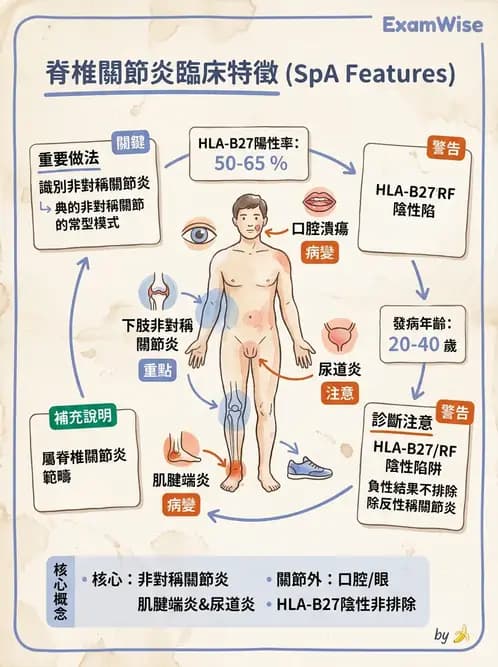 內專 - 脊椎關節病變 - AI 圖文解析預覽