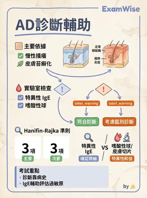 內專 - 過敏性疾病與臨床免疫治療 - AI 圖文解析預覽