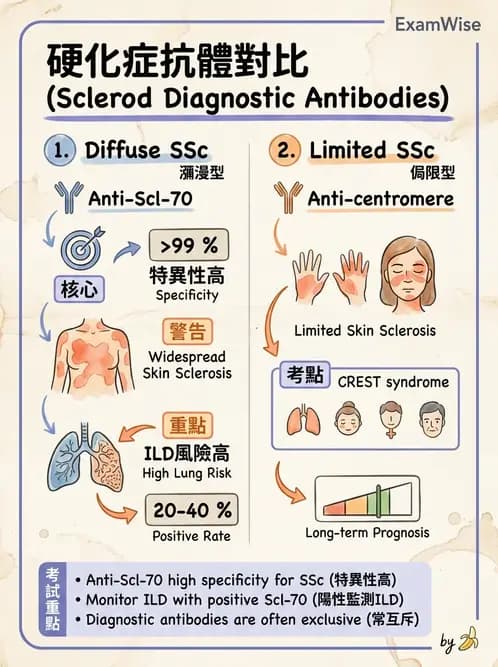 內專 - 系統性硬化症 - AI 圖文解析預覽