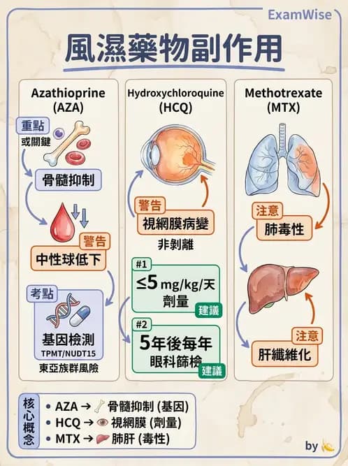 RA - 類風濕性關節炎 - AI 圖文解析預覽