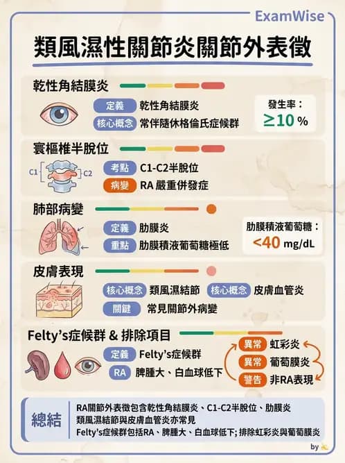 RA - 類風濕性關節炎 - AI 圖文解析預覽