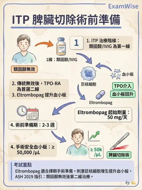 內專 - 凝血與輸血 - AI 圖文解析預覽