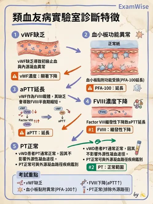 內專 - 凝血與輸血 - AI 圖文解析預覽