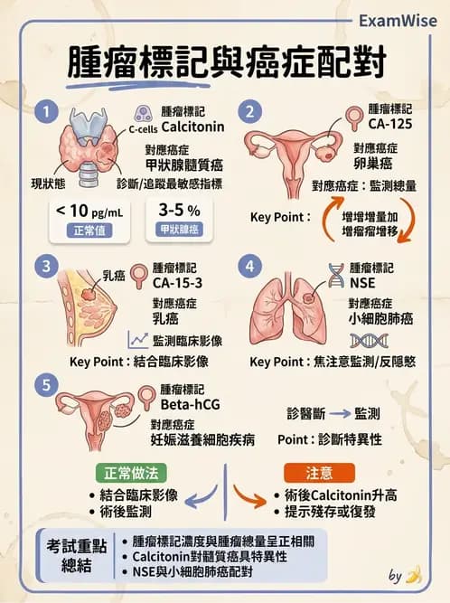 內專 - 腫瘤總論與篩檢 - AI 圖文解析預覽