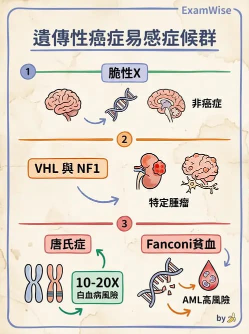 內專 - 腫瘤總論與篩檢 - AI 圖文解析預覽