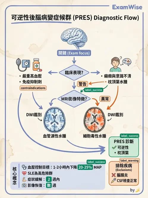 內專 - 腦炎、腦病變與癲癇 - AI 圖文解析預覽