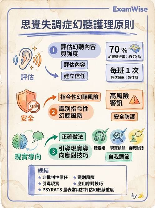 護理師 - 思覺失調症護理 - AI 圖文解析預覽