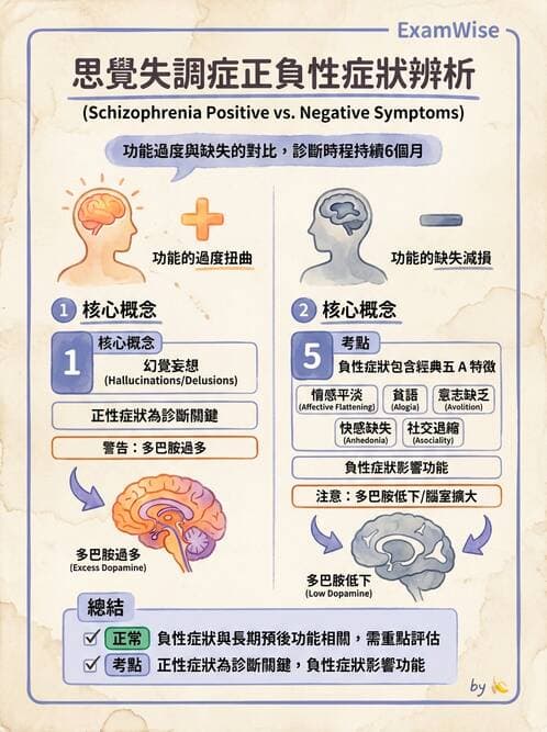 護理師 - 思覺失調症護理 - AI 圖文解析預覽