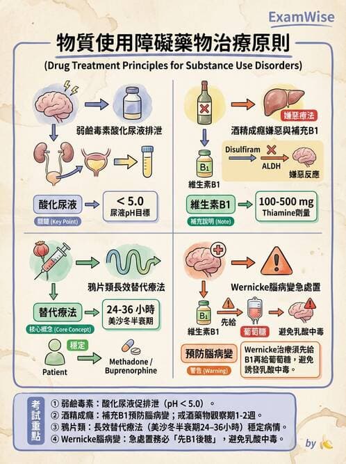 護理師 - 物質相關與成癮障礙 - AI 圖文解析預覽