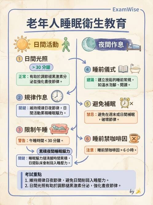 護理師 - 老年精神疾患 - AI 圖文解析預覽