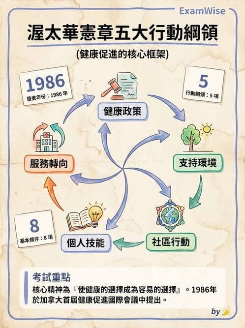 護理師 - 健康促進理論與模式 - AI 圖文解析預覽