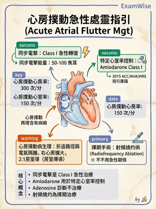 內專 - 心房顫動與上心室心律不整 - AI 圖文解析預覽