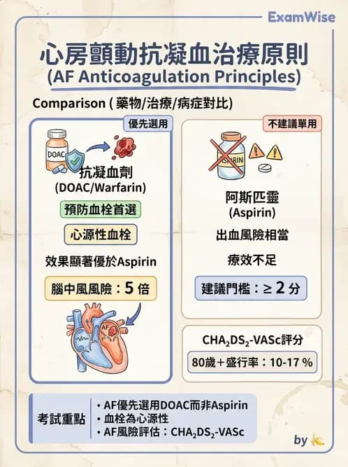 內專 - 心房顫動與上心室心律不整 - AI 圖文解析預覽