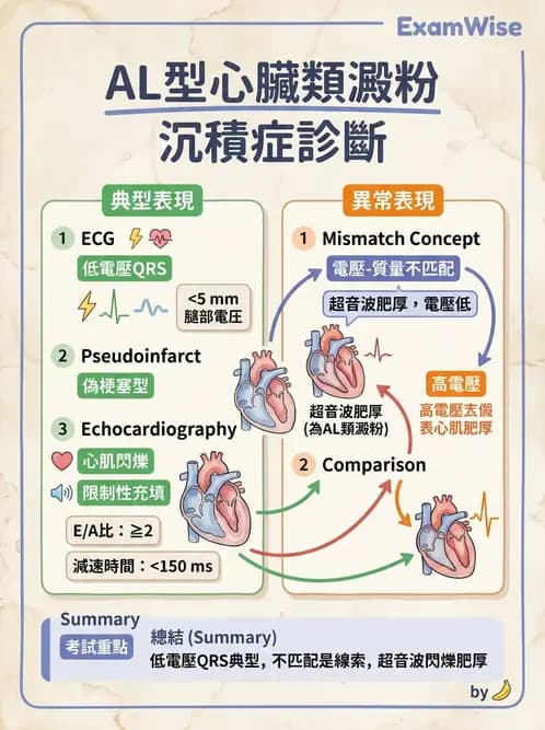 內專 - 心肌病變 - AI 圖文解析預覽
