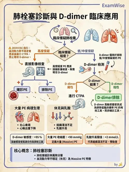 內專 - 肺血管疾病 - AI 圖文解析預覽