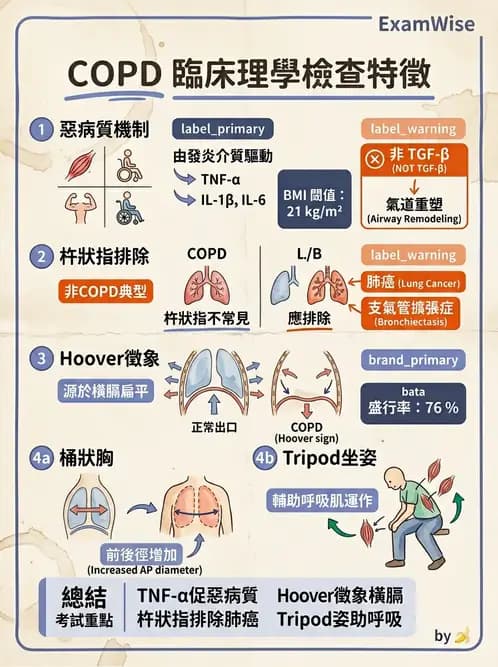 內專 - COPD 穩定期診斷與治療 - AI 圖文解析預覽