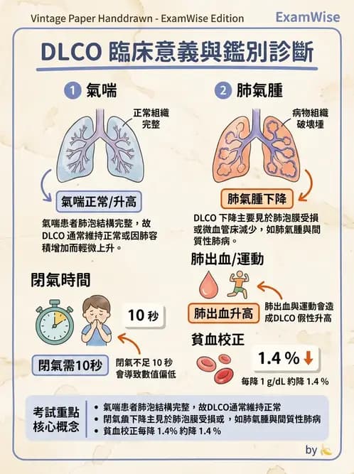 內專 - 肺功能檢查與支氣管擴張 - AI 圖文解析預覽