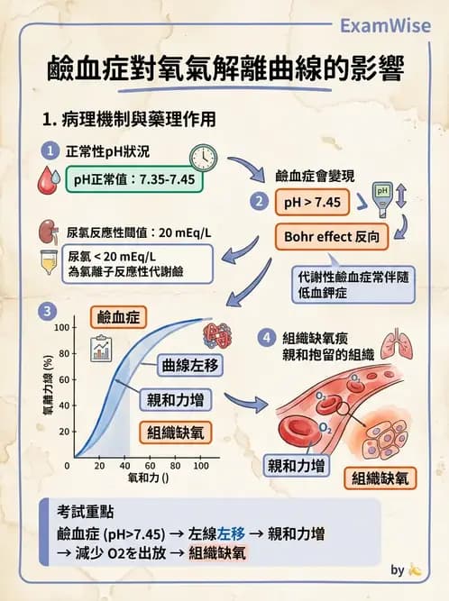 內專 - 酸鹼平衡異常 - AI 圖文解析預覽